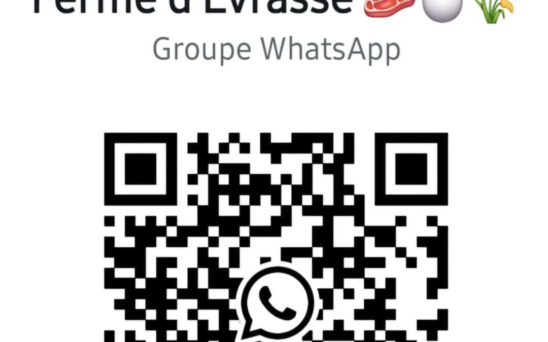 QR code whatsapp